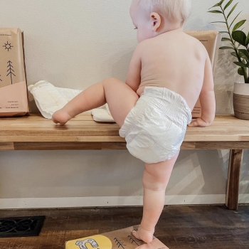 Paper Diaper: Waste-to-Energy Service
