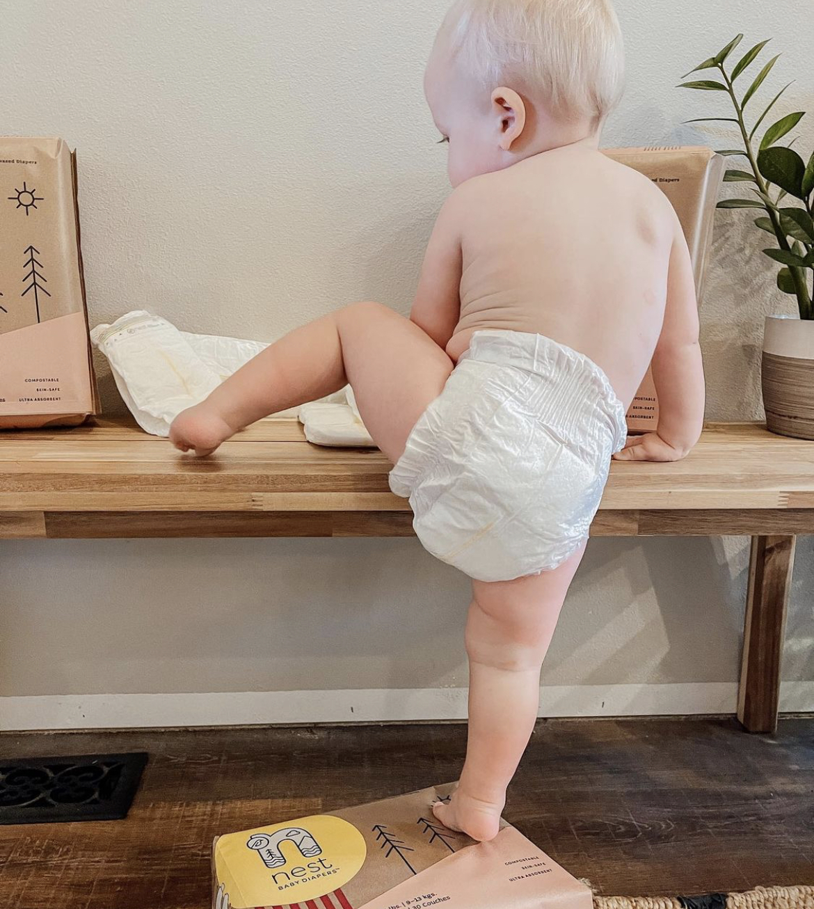 Paper Diaper: Waste-to-Energy Service