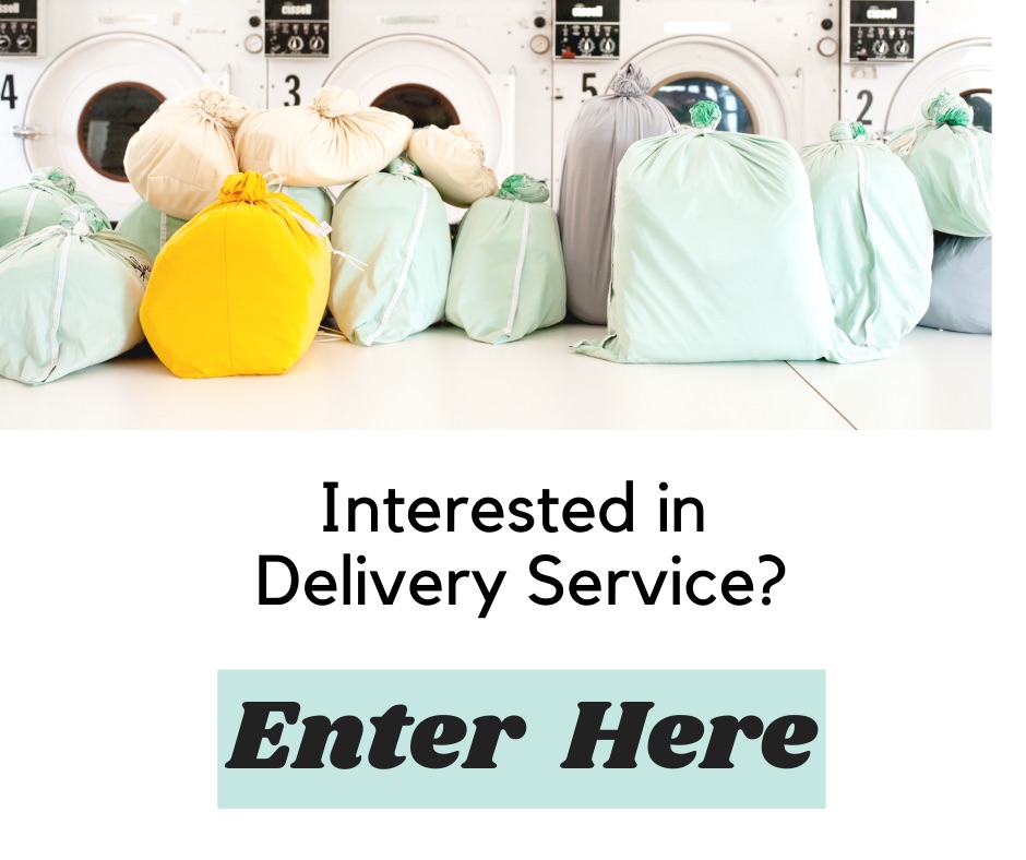 Luludew Organic Diaper Service