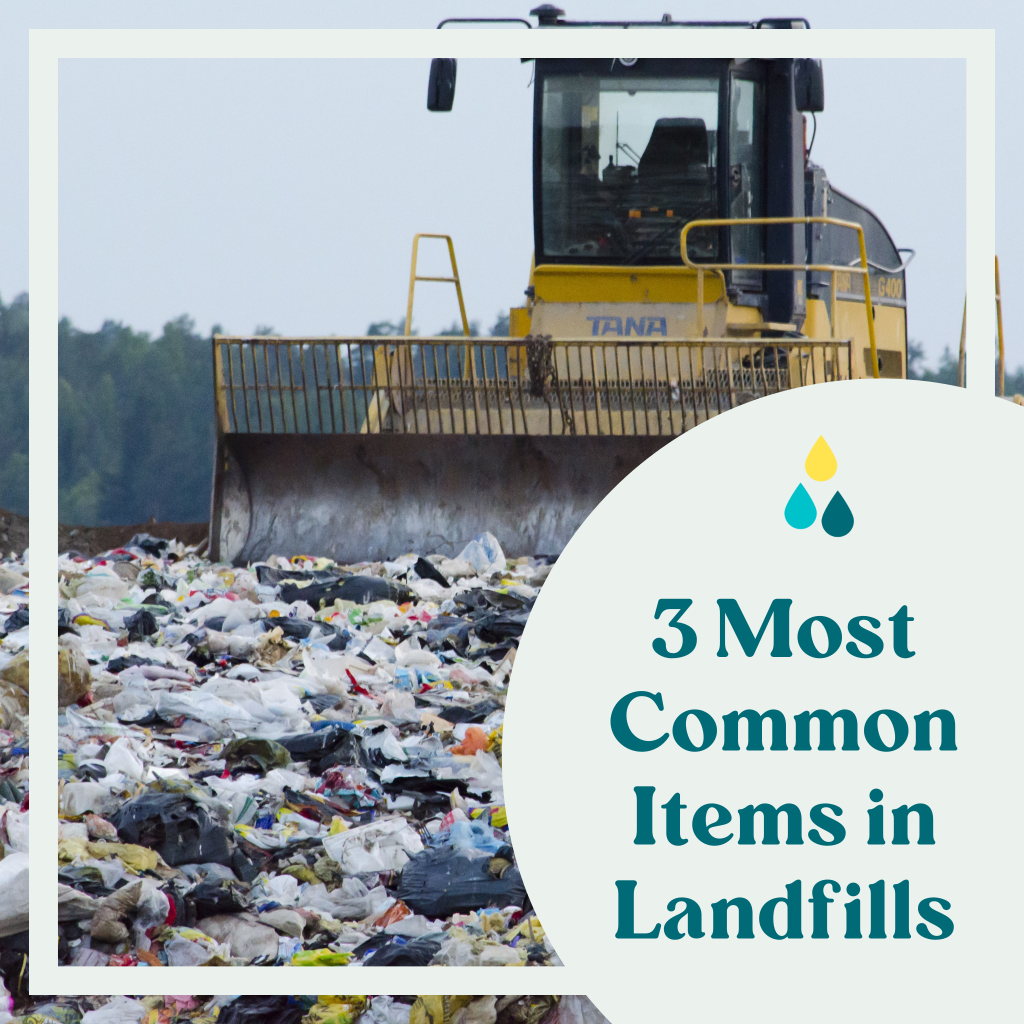 The 3 Most Common Items in Landfills Luludew