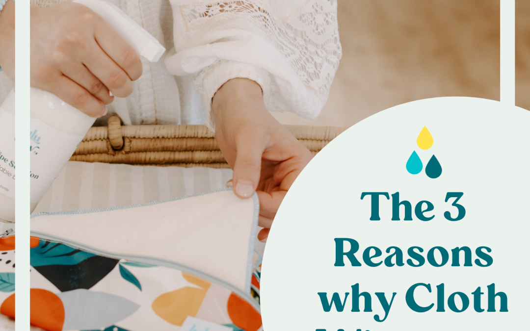 The 3 Reasons why Cloth Wipes are Amazing