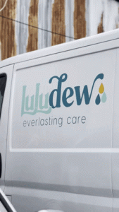 Delivery Van Driving with the words Luludew Everlasting Care written on the van