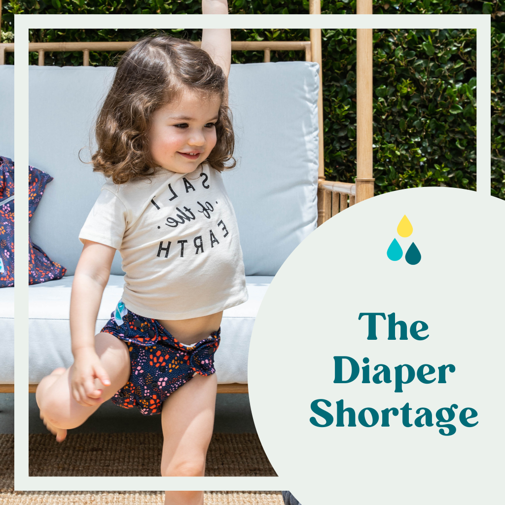 The Baby Diaper Shortage Luludew