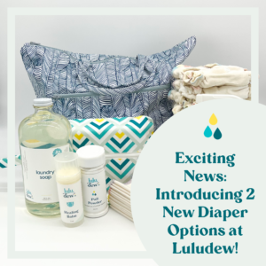 Exciting News: Introducing 2 New Diaper Options at Luludew with an image of a new diaper bundle