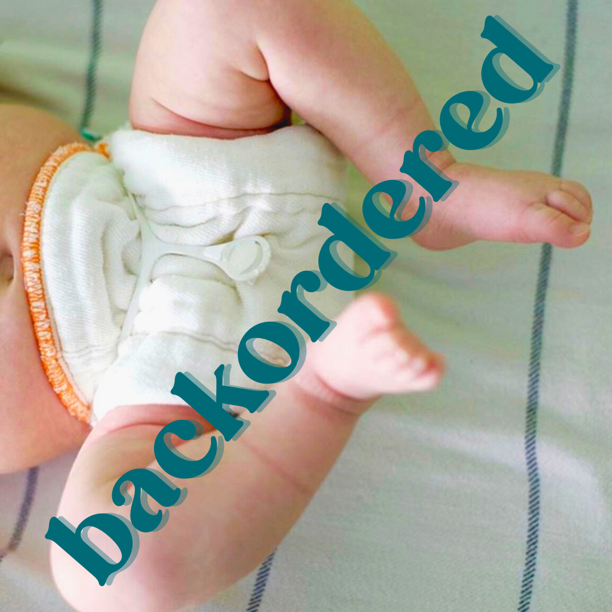 backordered Prefold diaper